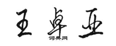 駱恆光王卓亞行書個性簽名怎么寫