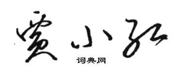 駱恆光賈小紅草書個性簽名怎么寫