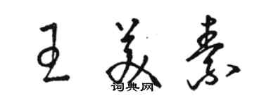 駱恆光王美素草書個性簽名怎么寫