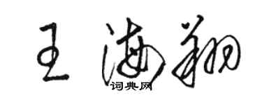 駱恆光王海翔草書個性簽名怎么寫