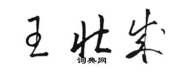 駱恆光王壯成草書個性簽名怎么寫