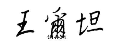 王正良王爾坦行書個性簽名怎么寫