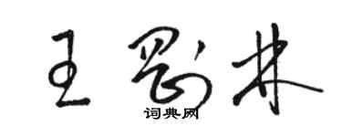 駱恆光王剛林草書個性簽名怎么寫