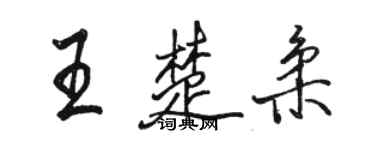 駱恆光王楚柔行書個性簽名怎么寫