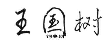 駱恆光王國樹行書個性簽名怎么寫