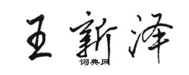 駱恆光王新澤行書個性簽名怎么寫