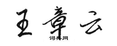 駱恆光王章雲行書個性簽名怎么寫
