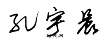 朱錫榮孔宇晨草書個性簽名怎么寫