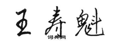 駱恆光王壽魁行書個性簽名怎么寫