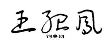 曾慶福王紀鳳草書個性簽名怎么寫