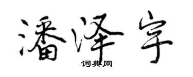曾慶福潘澤宇行書個性簽名怎么寫