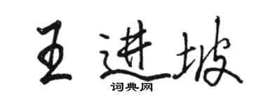 駱恆光王進坡行書個性簽名怎么寫