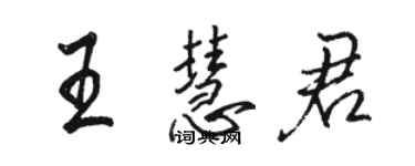 駱恆光王慧君行書個性簽名怎么寫