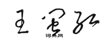 駱恆光王閩紅草書個性簽名怎么寫