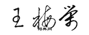 駱恆光王梅榮草書個性簽名怎么寫