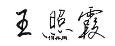 駱恆光王照霞行書個性簽名怎么寫