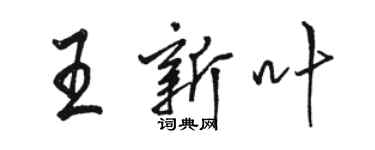 駱恆光王新葉行書個性簽名怎么寫
