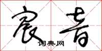 王冬齡宸音草書怎么寫