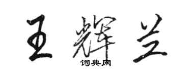 駱恆光王輝蘭行書個性簽名怎么寫