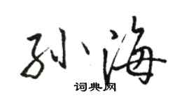 駱恆光孫海行書個性簽名怎么寫