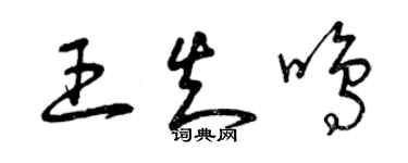曾慶福王知鳴草書個性簽名怎么寫