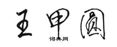 駱恆光王甲圓行書個性簽名怎么寫