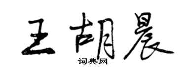 曾慶福王胡晨行書個性簽名怎么寫