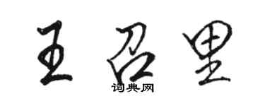 駱恆光王召里行書個性簽名怎么寫