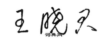 駱恆光王曉君草書個性簽名怎么寫