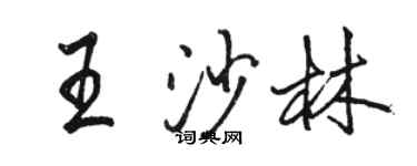 駱恆光王沙林行書個性簽名怎么寫