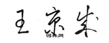 駱恆光王京成草書個性簽名怎么寫