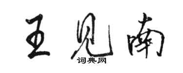 駱恆光王見南行書個性簽名怎么寫