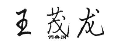 駱恆光王茂龍行書個性簽名怎么寫