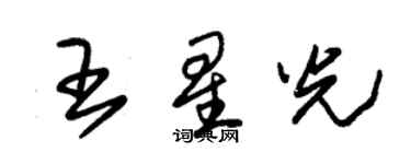 朱錫榮王星光草書個性簽名怎么寫