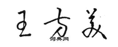 駱恆光王方美草書個性簽名怎么寫