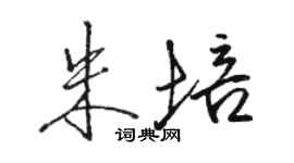 駱恆光朱培行書個性簽名怎么寫