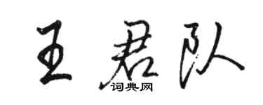 駱恆光王君隊行書個性簽名怎么寫