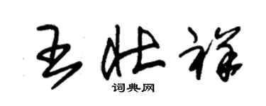 朱錫榮王壯祥草書個性簽名怎么寫