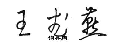 駱恆光王武燕草書個性簽名怎么寫