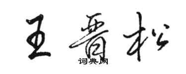 駱恆光王晉松行書個性簽名怎么寫