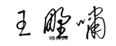 駱恆光王野嘯草書個性簽名怎么寫