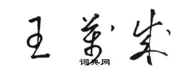 駱恆光王萬成草書個性簽名怎么寫