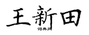 丁謙王新田楷書個性簽名怎么寫