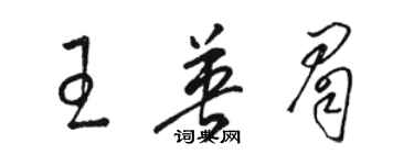 駱恆光王英眉草書個性簽名怎么寫
