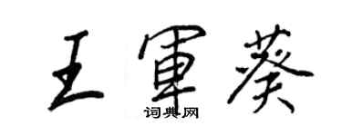 王正良王軍葵行書個性簽名怎么寫