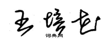 朱錫榮王培花草書個性簽名怎么寫