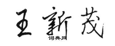 駱恆光王新茂行書個性簽名怎么寫