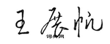 駱恆光王展帆草書個性簽名怎么寫