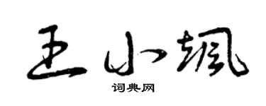 曾慶福王小颯草書個性簽名怎么寫