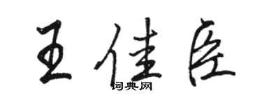 駱恆光王佳臣行書個性簽名怎么寫